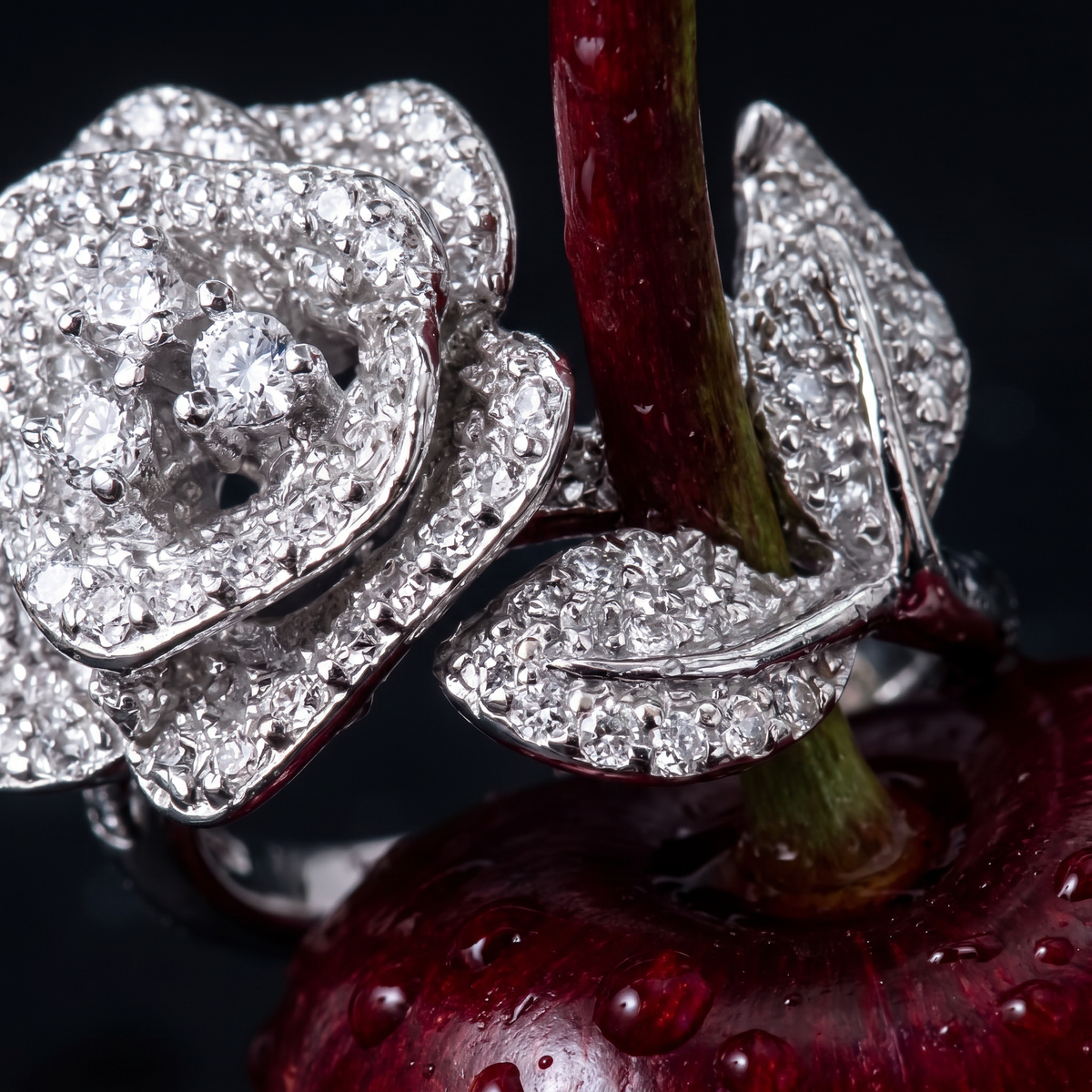 +SERENA ROSE RING